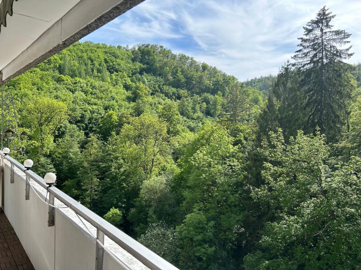Wald-Idyll: Urlaub Im Gruenen Apartment Bad Harzburg Exterior photo